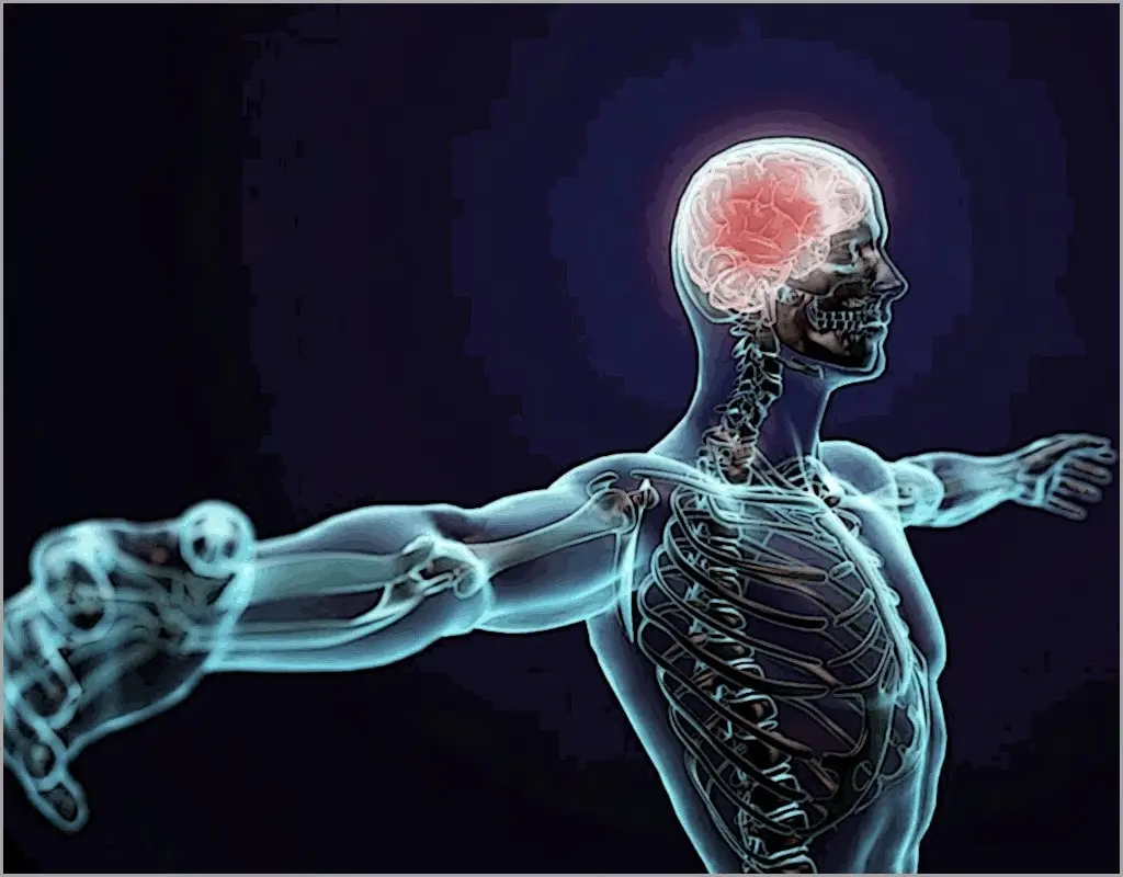 We all have the same amount of gray matter; what's going on in there?